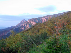 Fot. Grzegorz Albrzykowski