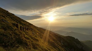 Fot. Stanisław Ślimak