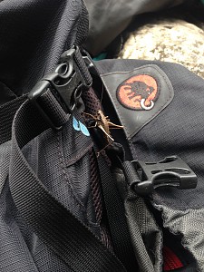 tam to nawet Świerszcz większy od Mamuta:)