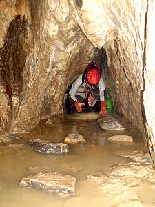 Fot. G. Albrzykowski