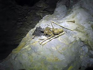 Fot. G. Albrzykowski