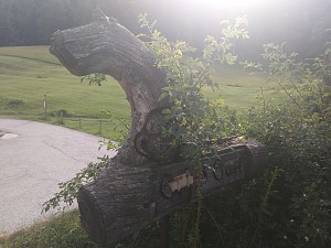 Oryginalna rzeźba z pnia drzewa z napisem Griis God.