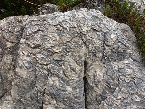 Niezwykłe świadectwo zamierzchłych czasów