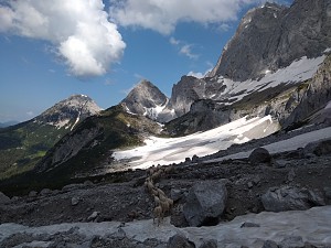 Towarzyszki na szlaku w trakcie podejścia pod scianę