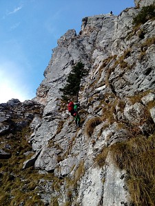 Fot; Konrad Dyrcz