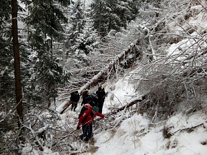 Fot. Konrad Dyrcz