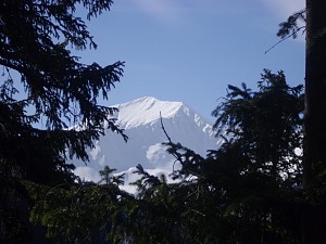 Ornak