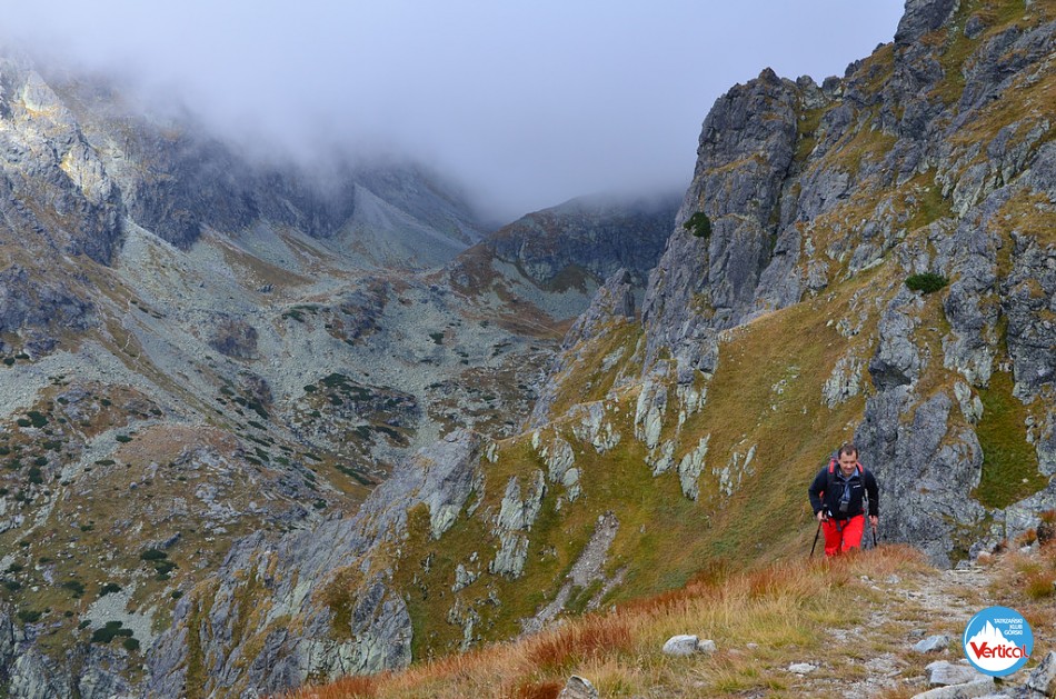 STAROLEŚNY SZCZYT (Bradavica) 2476m