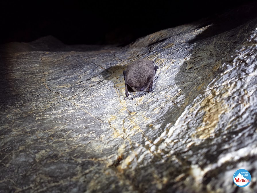 Jaskinie w Zawracie Kasprowym