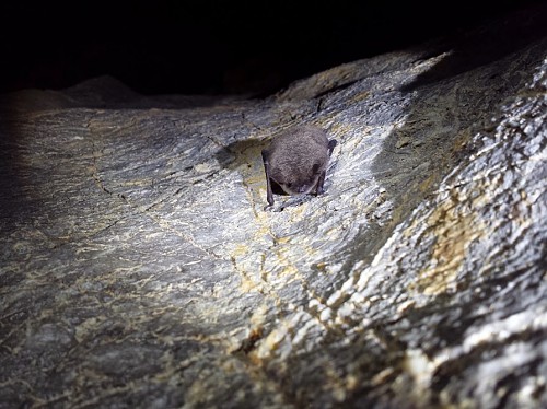 Jaskinie w Zawracie Kasprowym