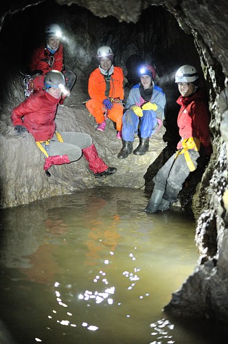 Poszukiwanie Złotej Kaczki