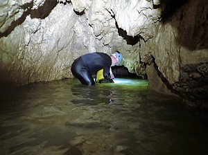 Fot. Sylwia Solarczyk