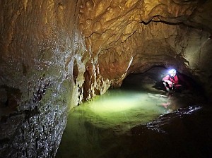 Fot. Sylwia Solarczyk