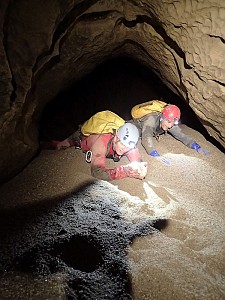 Fot. Sylwia Solarczyk