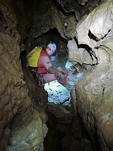 Fot. Sylwia Solarczyk