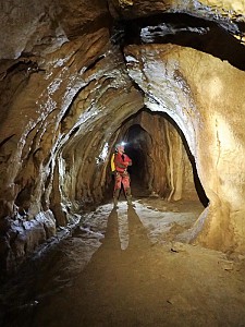 Fot. Sylwia Solarczyk