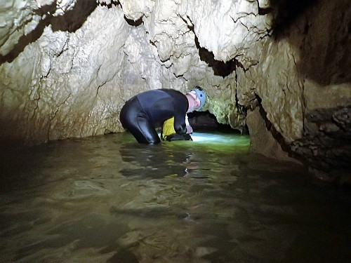 Przez Jaskinię Miętusią do Avenów