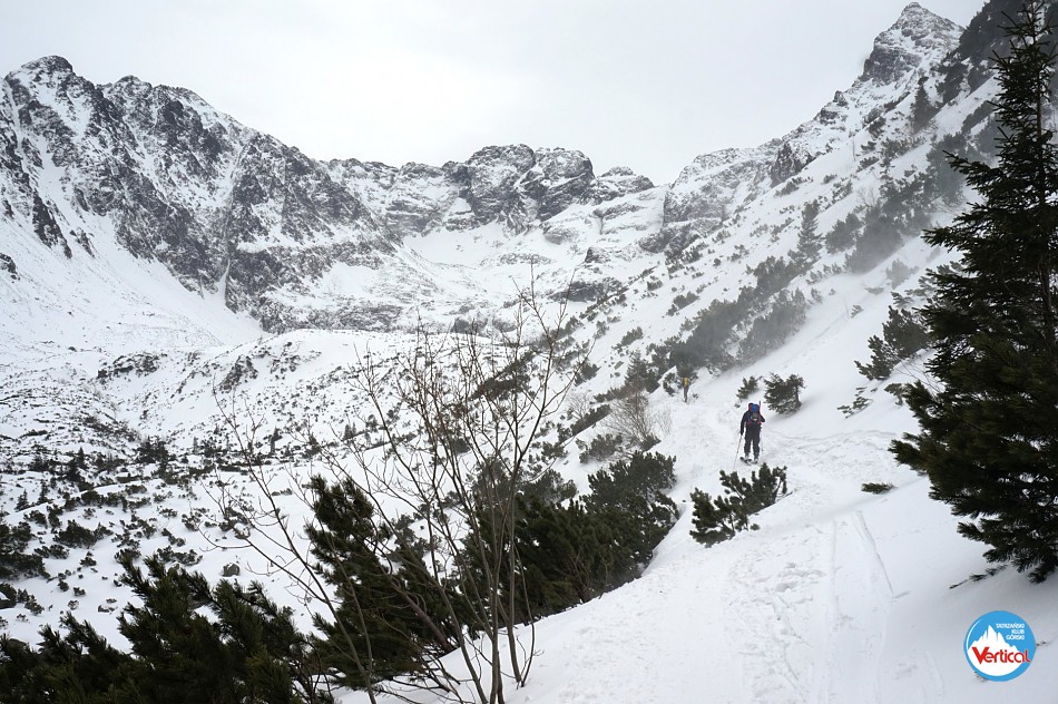 Szkolenie zimowe na Hali